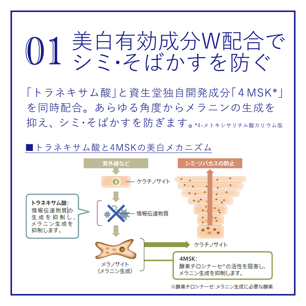 ナビジョンDR TAホワイトローションｎ